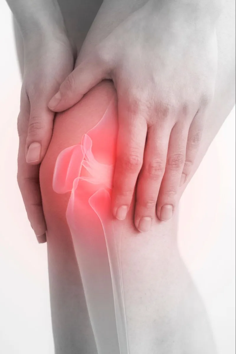 knee pain doctor